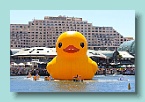 55_Ducking Cool